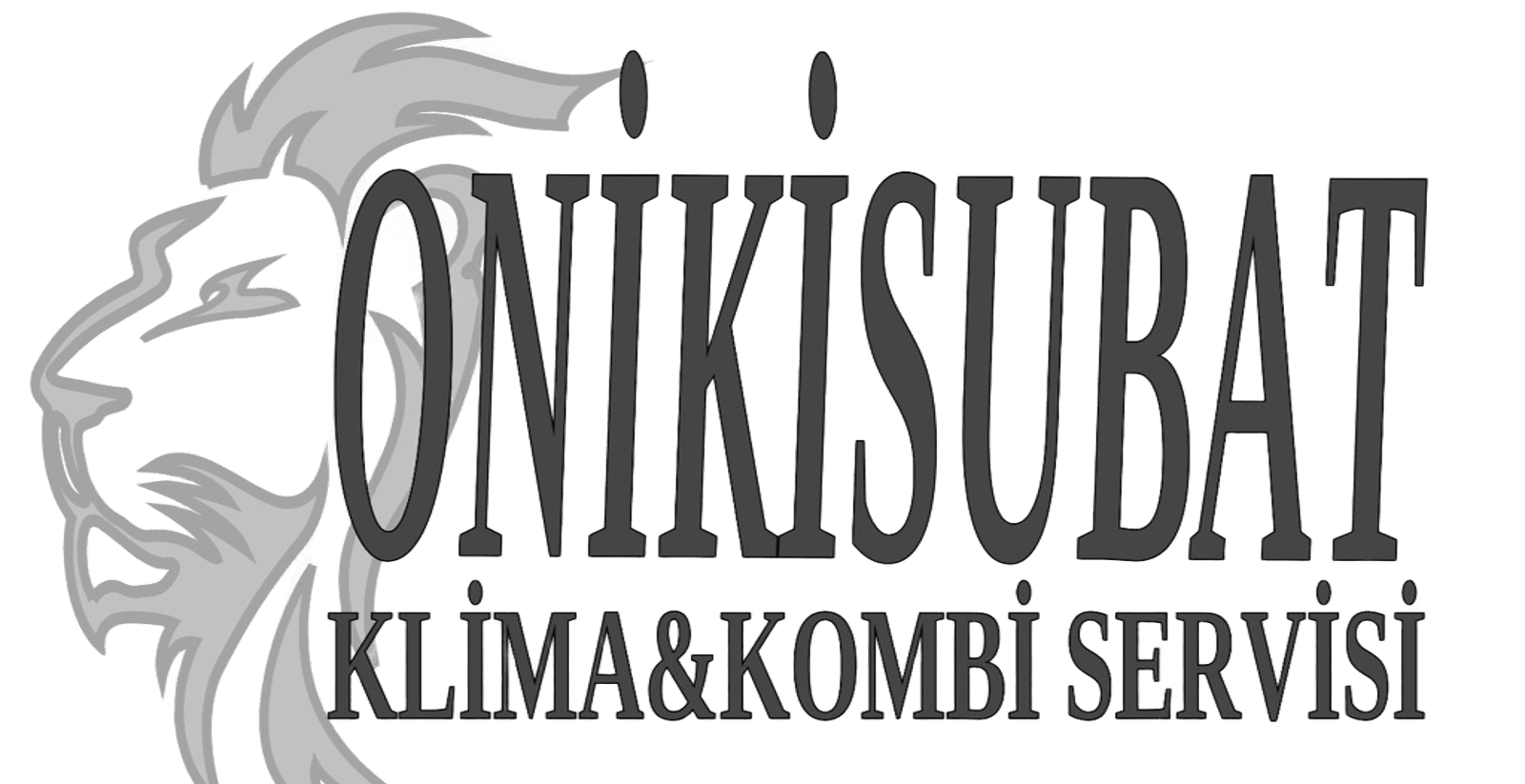 Kahramanmaraş klima servisi