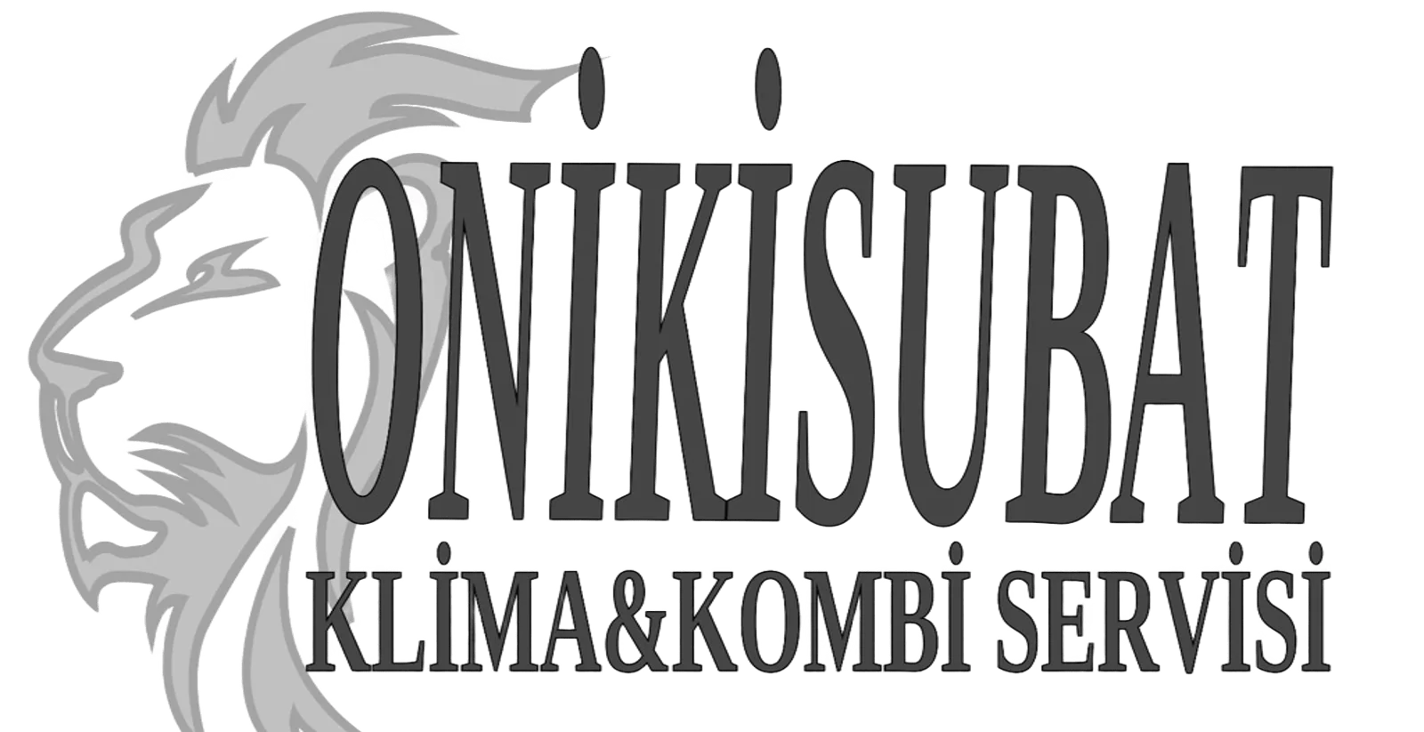 Kahramanmaraş klima servisi